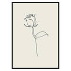 Gallerix Poster Line Art Rose 2995-70x100