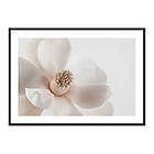 Gallerix Poster Beige Magnolia No1 4038-30x40