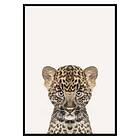 Gallerix Poster Baby Leopard 3172-21x30G