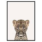 Gallerix Poster Baby Leopard 3172-30x40