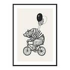 Gallerix Poster Bear On Bicycle 4172-21x30G