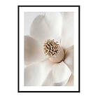 Gallerix Poster Beige Magnolia No2 4041-21x30G