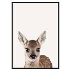 Gallerix Poster Baby Deer 3177-50x70