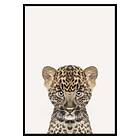 Gallerix Poster Baby Leopard 3172-21x30