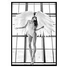 Gallerix Poster Angel Wings No1 3405-30x40