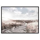 Gallerix Poster Amongst Grass 2871-21x30G