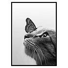 Gallerix Poster Butterfly Cat 3104-30x40