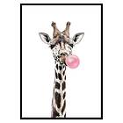 Gallerix Poster Bubblegum Giraffe 3169 3169-70x100