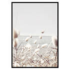 Gallerix Poster Bunny Tails 2805-50x70