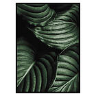 Gallerix Poster Intense Green No3 2636-30x40