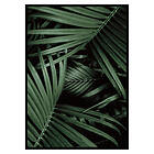 Gallerix Poster Intense Green No1 2634-50x70