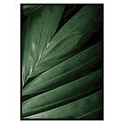 Gallerix Poster Intense Green No2 2635-21x30