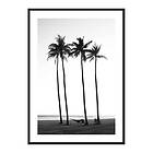 Gallerix Poster Palms On Beach 3775-21x30