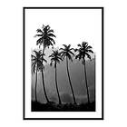 Gallerix Poster Palms 3861-21x30G