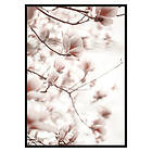 Gallerix Poster Pink Botanical Shades 2665-50x70