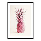 Gallerix Poster Pink Pineapple 3986-70x100