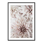 Gallerix Poster Pink Shaded Flowers 3881-70x100