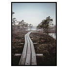 Gallerix Poster Riga Swamp 2847-21x30