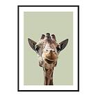 Gallerix Poster Smiling Giraffe 4480-50x70