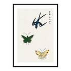 Gallerix Poster Swallow And Butterflies By Taguchi Tomoki 4563-50x70