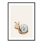 Gallerix Poster Snail 4118-30x40