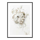 Gallerix Poster Peony Petals No1 3990-30x40