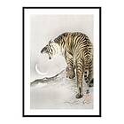 Gallerix Poster Roaring Tiger By Ohara Koson 4319-21x30