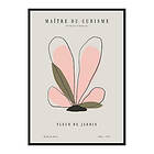 Gallerix Poster Picasso Fleur Du Cubisme 4065-30x40G