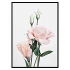 Gallerix Poster Rose Bouquet No1 2663-30x40