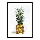 Gallerix Poster Pineapple 3985-30x40