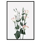 Gallerix Poster Rose Bouquet No2 2664-50x70