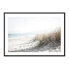 Gallerix Poster Marram Grass At Beach 4211-21x30