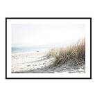 Gallerix Poster Marram Grass At Beach 4211-30x40