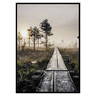 Gallerix Poster Torronsuo Wilderness 2894-21x30