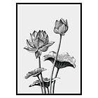 Gallerix Poster Sketched Flowers 3438-21x30