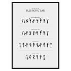 Gallerix Poster Slipsknutar 2708-21x30G
