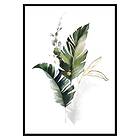 Gallerix Poster Watercolor Botanical No1 3265-50x70