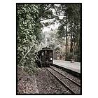 Gallerix Poster Train By Railroad 3394-21x30