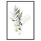 Gallerix Poster Watercolor Botanical No4 3268-30x40