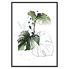 Gallerix Poster Watercolor Botanical No2 3266-70x100