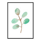 Gallerix Poster Watercolor Branch 4133-21x30