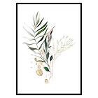 Gallerix Poster Watercolor Botanical No4 3268-70x100
