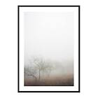 Gallerix Poster Trees In Fog 4227-21x30