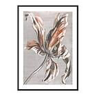 Gallerix Poster Tulip By Johan Teyler 4317-50x70