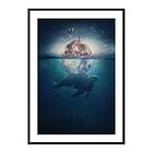 Gallerix Poster Turtle Moon 4215-21x30G
