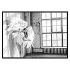 Gallerix Poster White Wings No2 2731-50x70