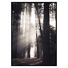 Gallerix Poster Yosemite Valley 2984-21x30G