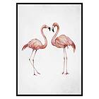 Gallerix Poster Watercolor Flamingos 3183-70x100