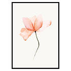 Gallerix Poster Watercolor Flower 2616-50x70