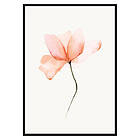 Gallerix Poster Watercolor Flower 2616-70x100